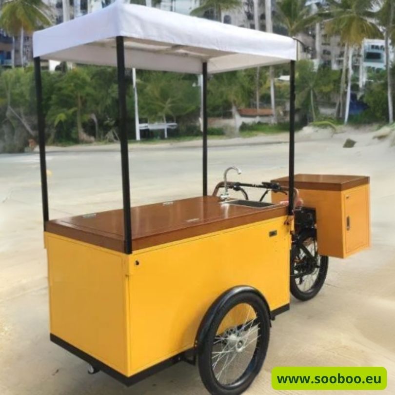 , Unique Electric Ice Cream Bike with Solar Freezer and big Wheels